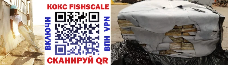 КОКАИН Fish Scale  купить наркоту  Выкса 