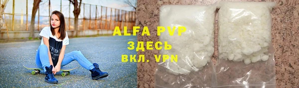 крисы Баксан