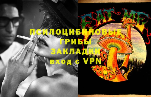 крисы Баксан