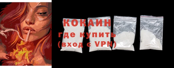 крисы Баксан