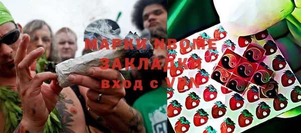 крисы Баксан