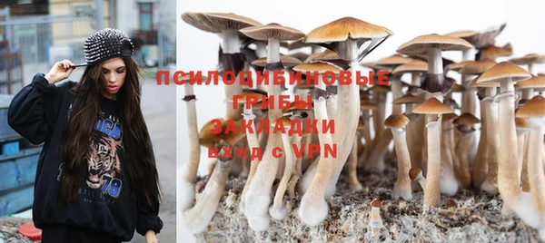 крисы Баксан