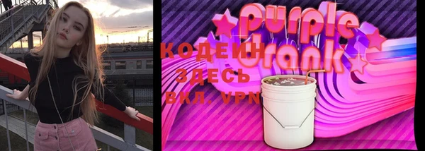 крисы Баксан